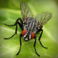 /album/sterulcecoc1985/photolia-a01-jpg/