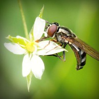 /album/sterulcecoc1985/photolia-a02-jpg/