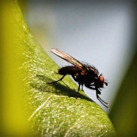 /album/sterulcecoc1985/photolia-a04-jpg/