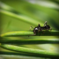 /album/sterulcecoc1985/photolia-a05-jpg/