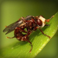 /album/sterulcecoc1985/photolia-a06-jpg/