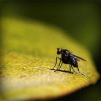 /album/sterulcecoc1985/photolia-a07-jpg/